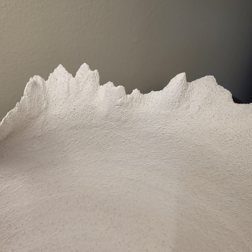 Unique Calamosca Bowl | Arèna Collection | Handcrafted Ceramic