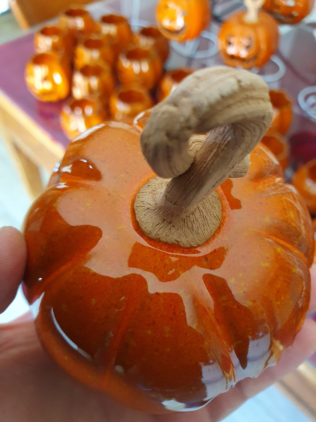 Zucche "Luce del mistero"