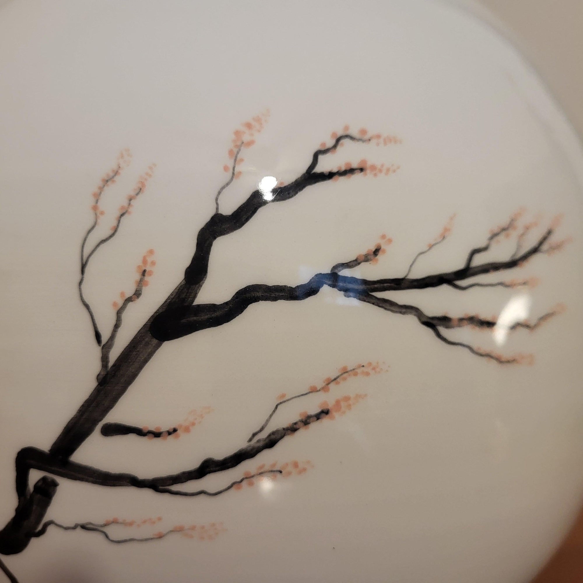 Unique Momo Vase | Moon Jar | Handcrafted Ceramics