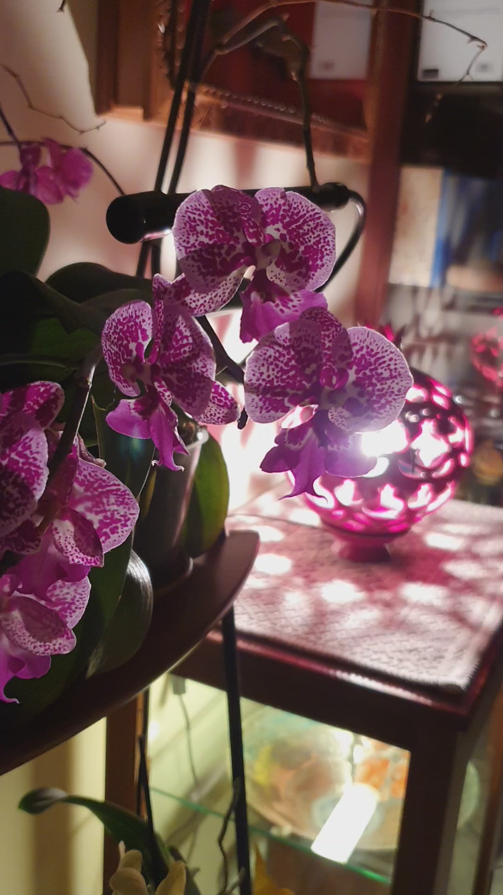 Lampada Melagrana Intagliata