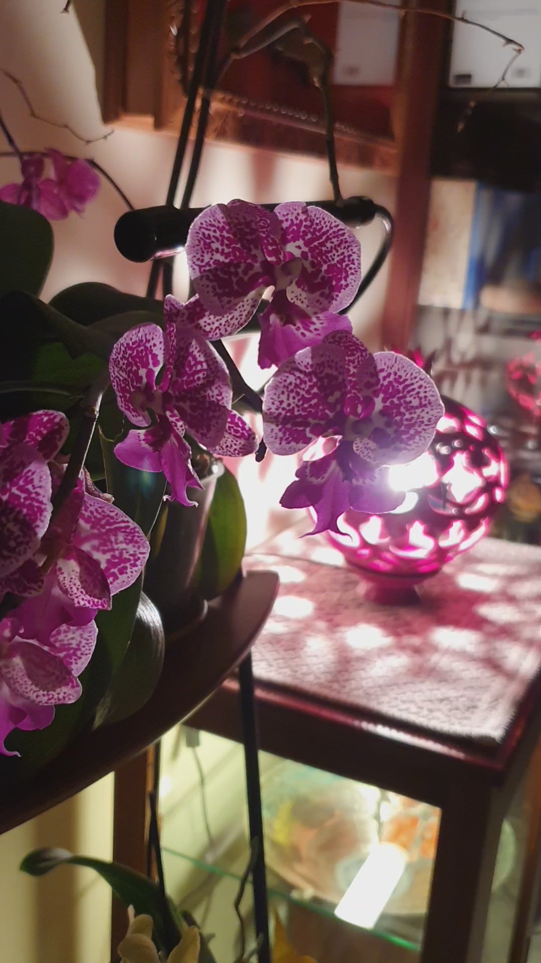 Lampada Melagrana Intagliata